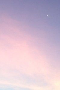 尽展拼搏！球队决胜局，豪取胜利走向巅峰