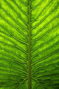 欧国联球队荣登擂台斩获胜利