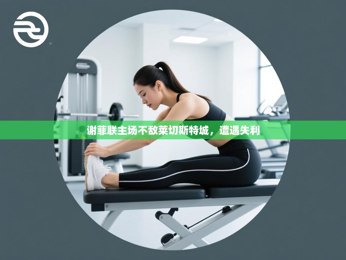 谢菲联主场不敌莱切斯特城，遭遇失利  第1张