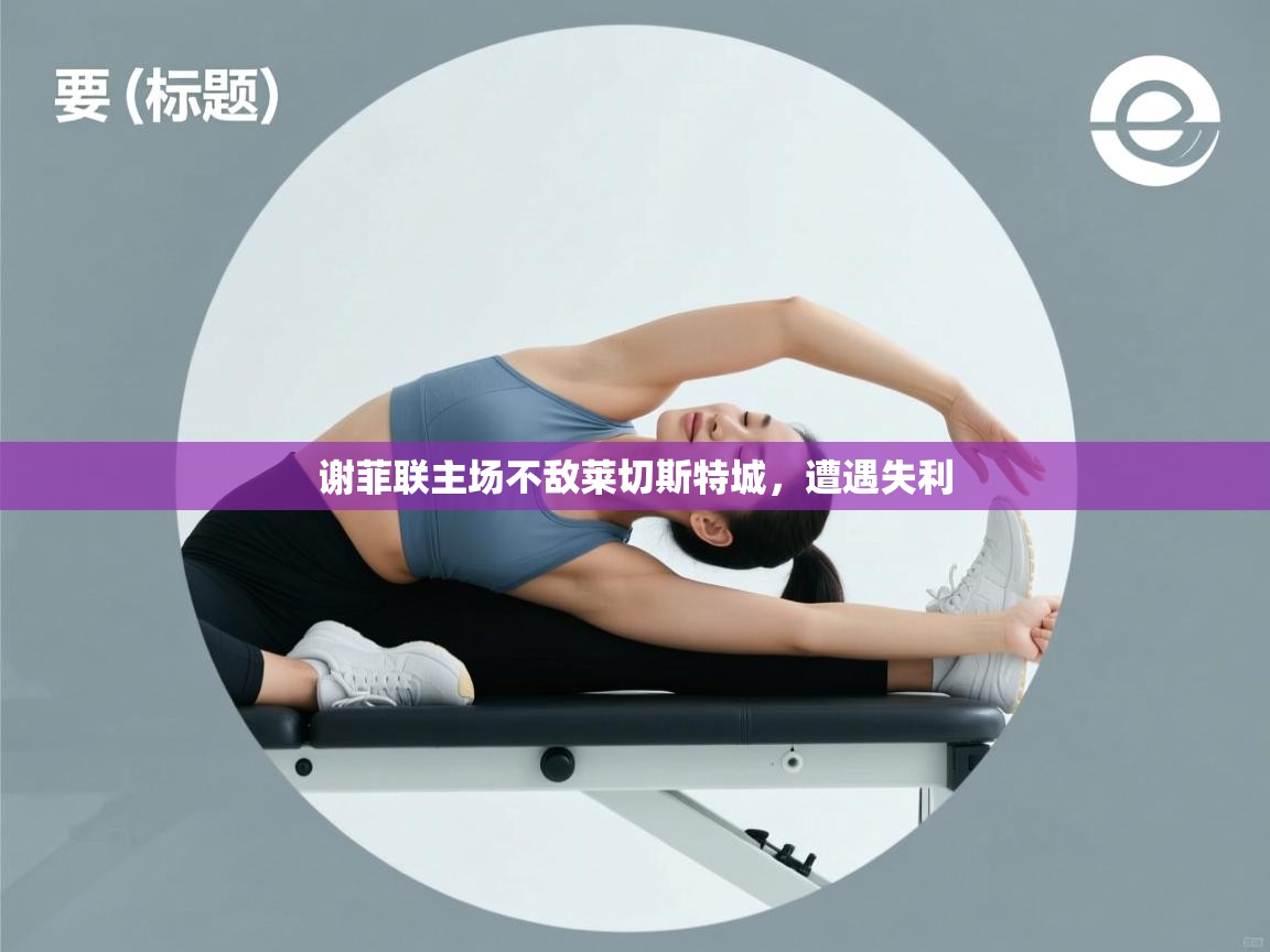谢菲联主场不敌莱切斯特城，遭遇失利  第2张
