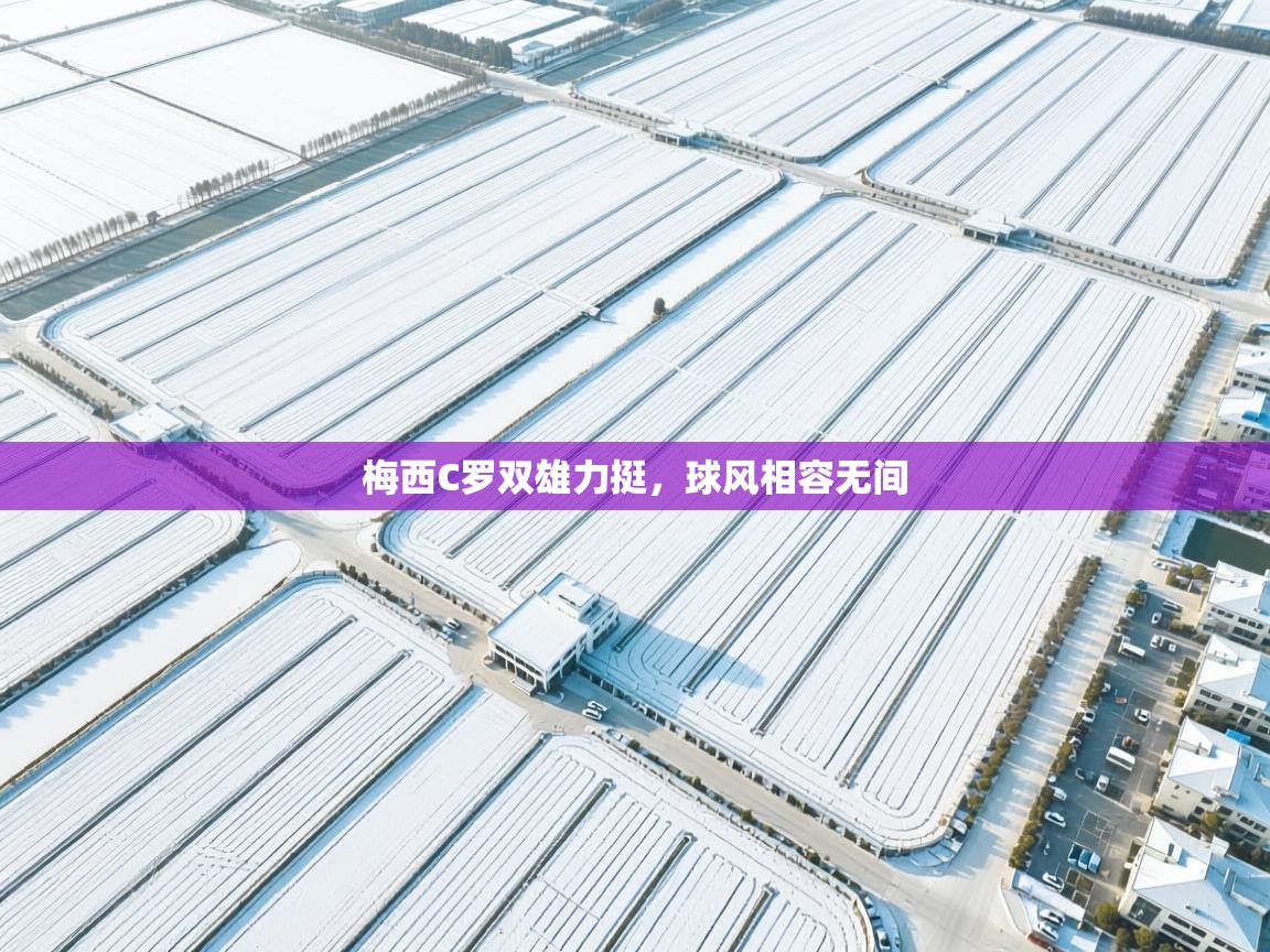 梅西C罗双雄力挺，球风相容无间