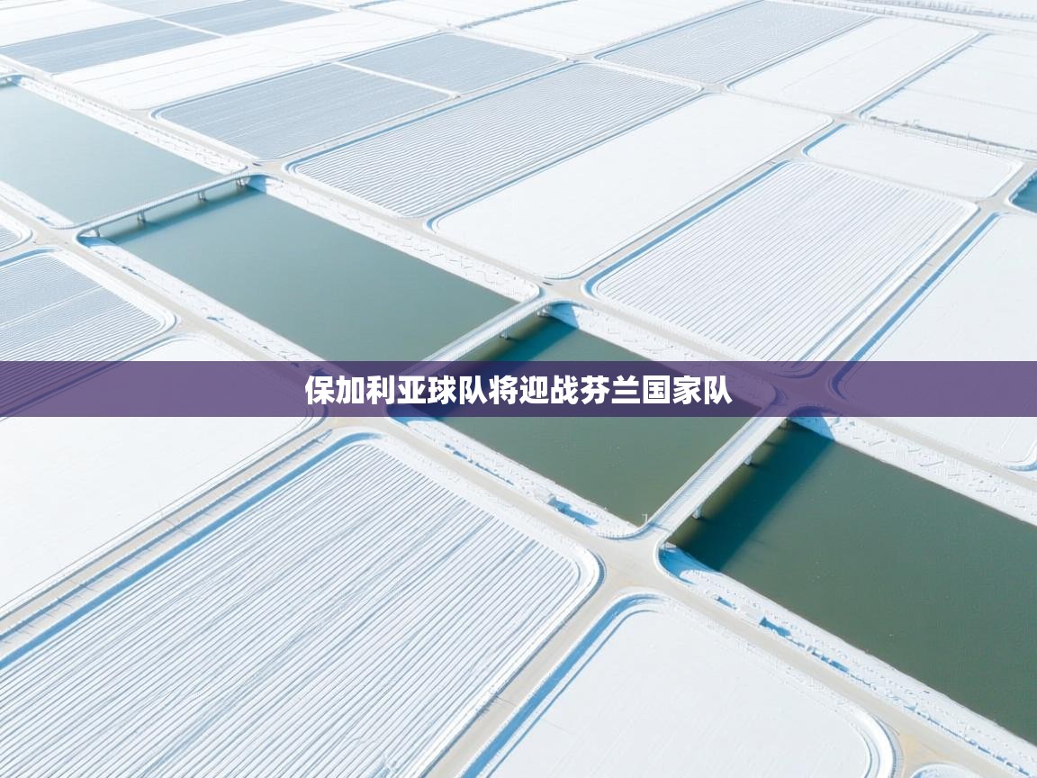 保加利亚球队将迎战芬兰国家队