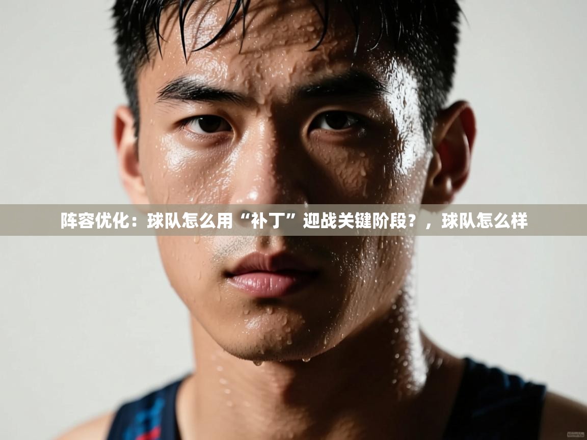 阵容优化:球队怎么用“补丁”迎战关键阶段?,球队怎么样 第2张